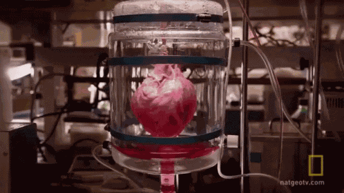 Heart Attack Heartbeat GIF