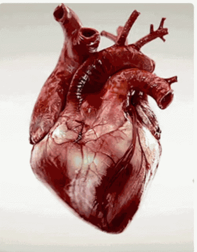 Heart Beat GIF