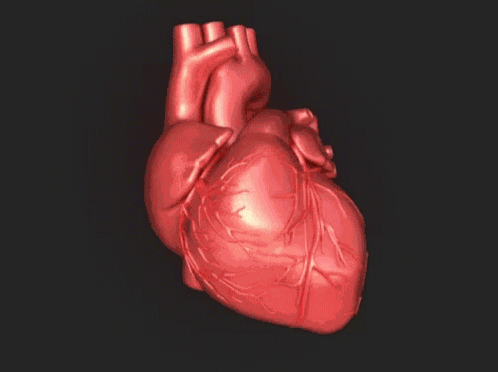 Heart GIF