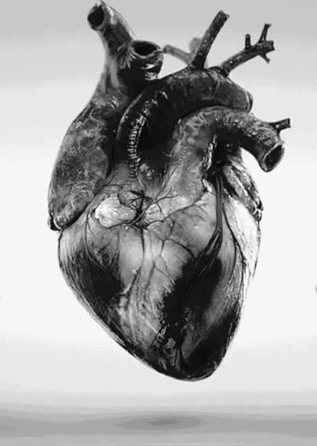 Heart GIF