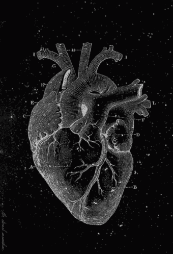 Heart GIF