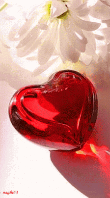 Heart Love GIF
