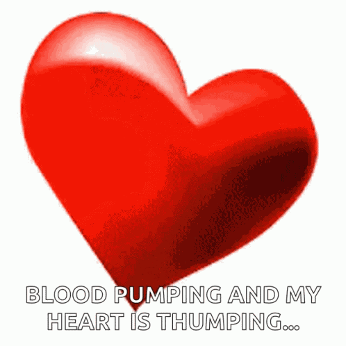 Heart Love GIF