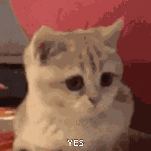 Heck Yeah GIF