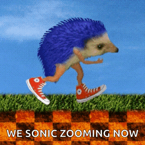Hedgehog Sonic GIF