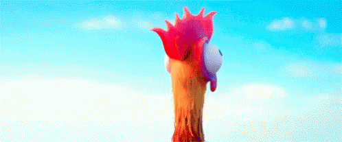 Heihei Moana GIF
