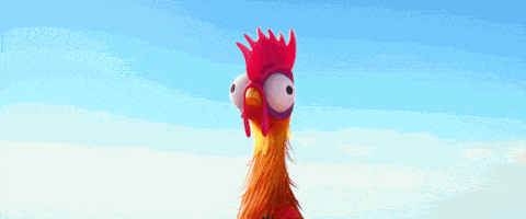 Heihei GIF