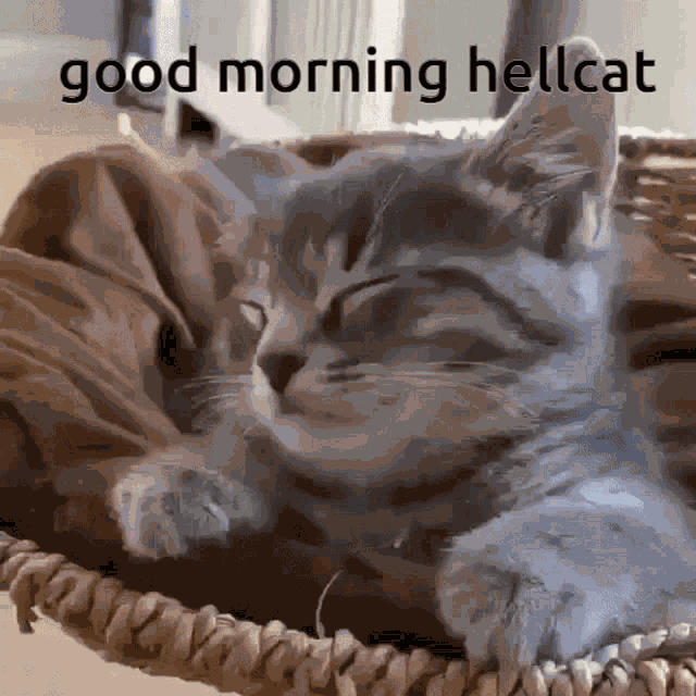 Hellcat GIF