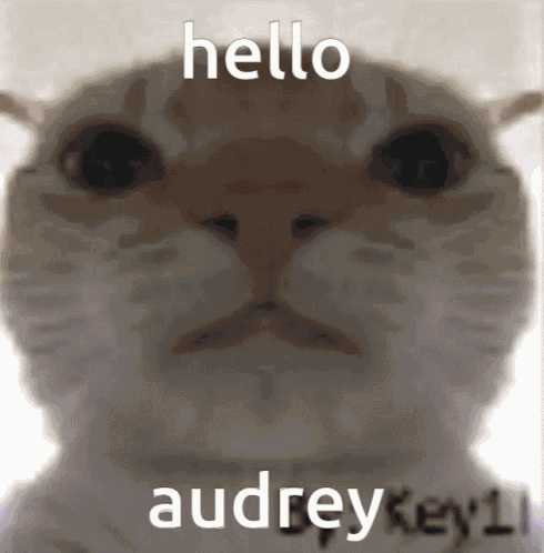 Hello Audrey Auparis GIF