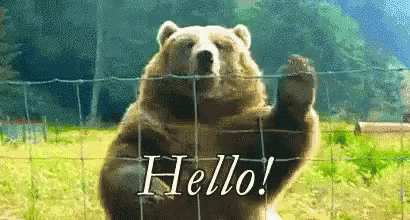 Hello Bear Waving GIF