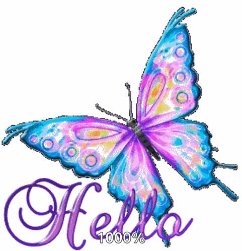 Hello Butterfly GIF
