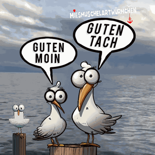 Hello Guten Morgen GIF
