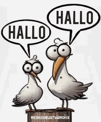 Hello Hey GIF