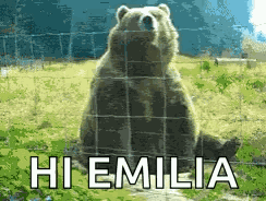 Hello Hey GIF