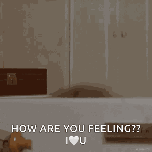 Hello Hi GIF