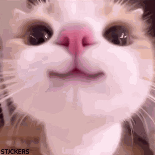 Hello Kitty GIF