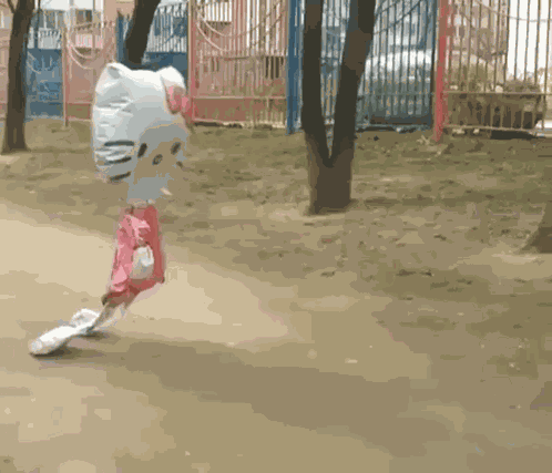 Hello Kitty Hello Cat GIF
