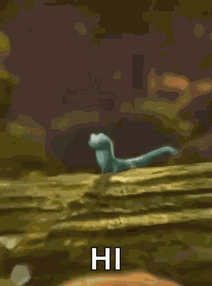 Hello Lizard GIF