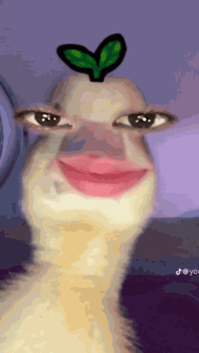 Hello GIF
