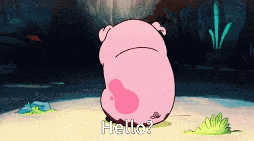 Hello Pig GIF