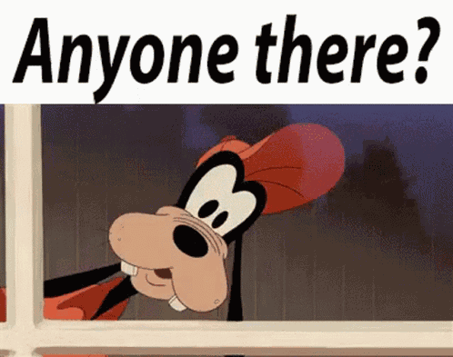 Hello There Anyone There GIF