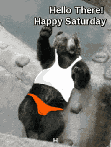 Hello There Happy Saturday GIF