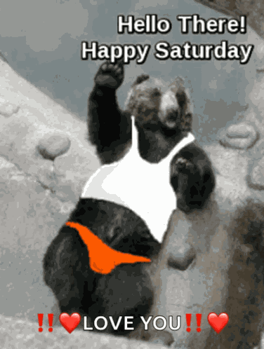 Hello There Happy Saturday GIF