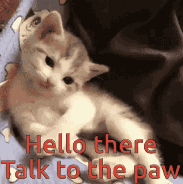 Hello There Talk GIF