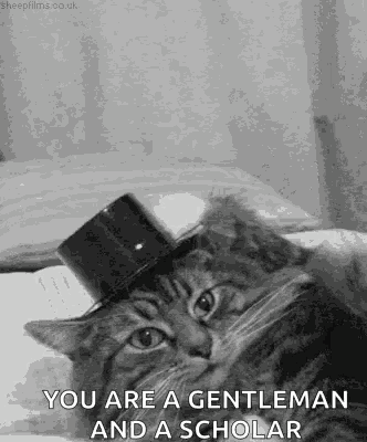 Hello Top Of The Morning GIF