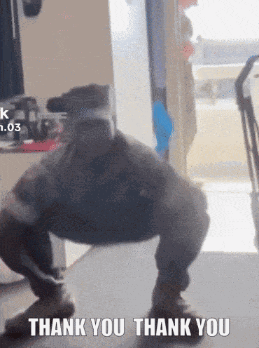 Hello Welcome GIF