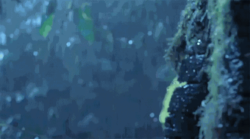 Hello Whos There GIF