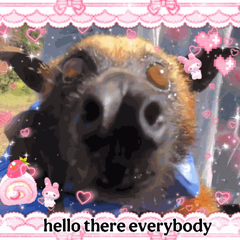 Hellobat Bathello GIF