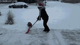 Helping Out GIF