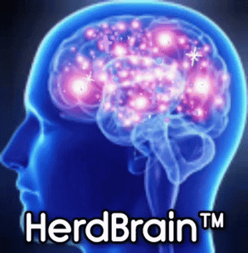 Herd Brain Herd GIF