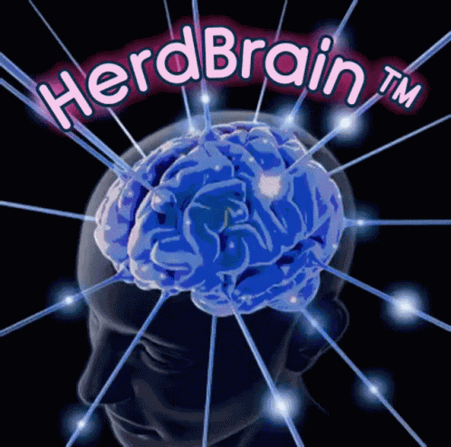 Herdbrain GIF