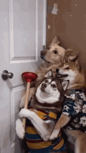 Here'S Johnny The Shining GIF