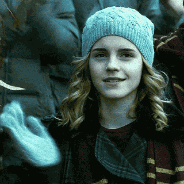 Hermione Granger Harry Potter GIF