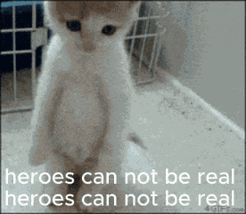 Heroes Can Not Be Real Mili GIF