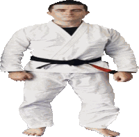 Herve Lex Freidman Sticker