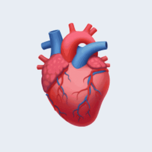 Herz Puls GIF