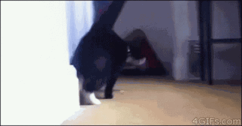 Hey Girl GIF