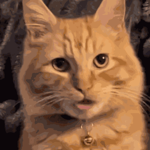 Hey Girl Hey Girl Hey GIF