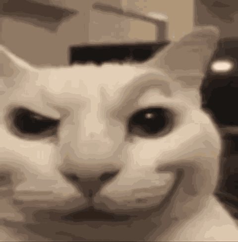 Hey There Hello GIF