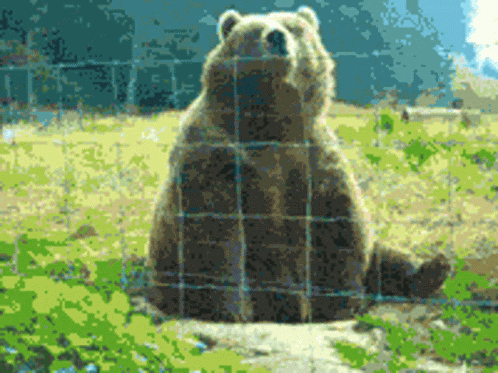 Hey You Wave GIF