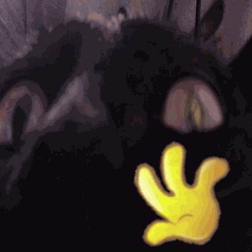 Hi Chat Cat Meme GIF