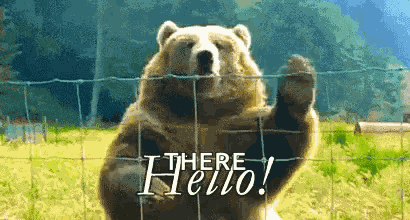 Hi Hello GIF
