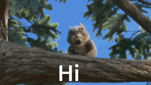 Hi Hello GIF
