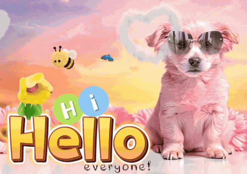Hi Hello GIF