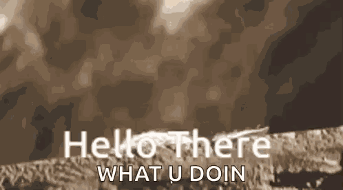 Hi Hello GIF