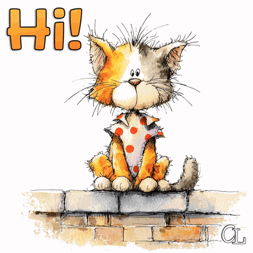 Hi Hello GIF